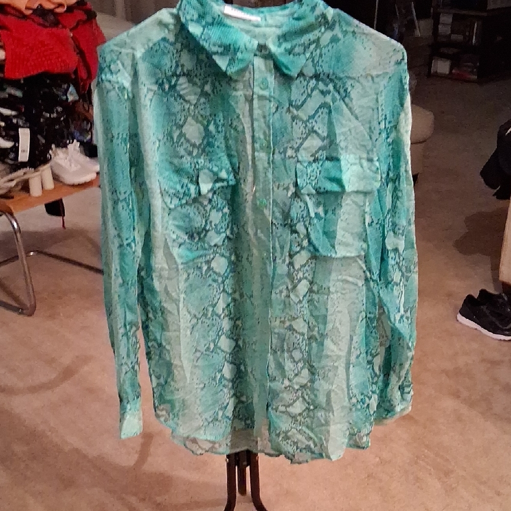 Equipment Teal Snake Print Blouse